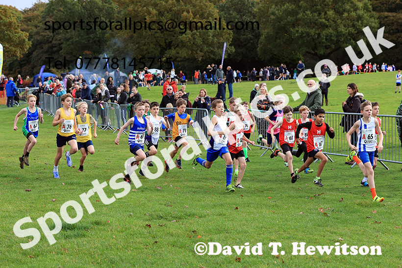 Boys under-11s, 2024 Northern Cross Country Relays, Graves Park, Sheffield.   Photo: David T. Hewitson/Sports for All Pics